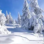 Daire Panorama Z Widokiem Na Gory