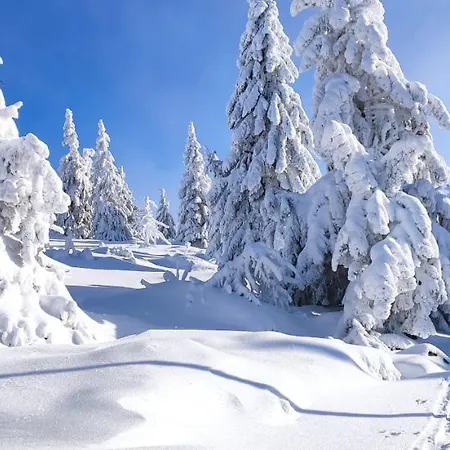 Apartment Panorama Z Widokiem Na Gory