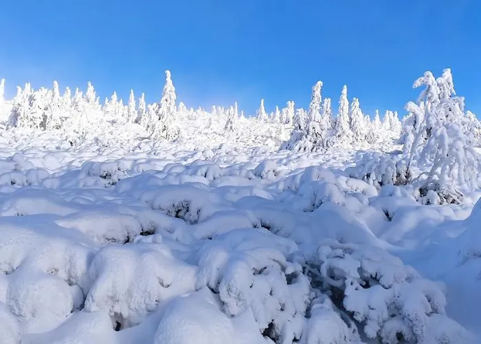 Panorama Z Widokiem Na Gory * Szklarska Poreba